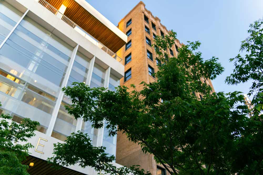 Modern buildings with glass balconies behind trees