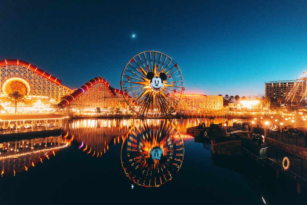 Amusement park with a Ferris wheel lit up at night beside water
