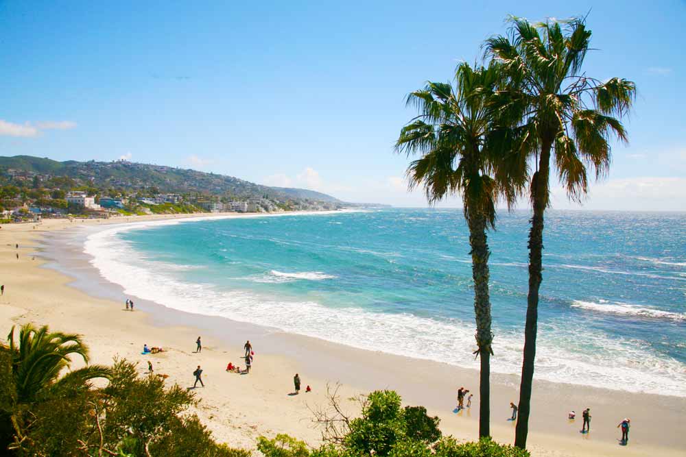 Beach cove with palm trees and surf