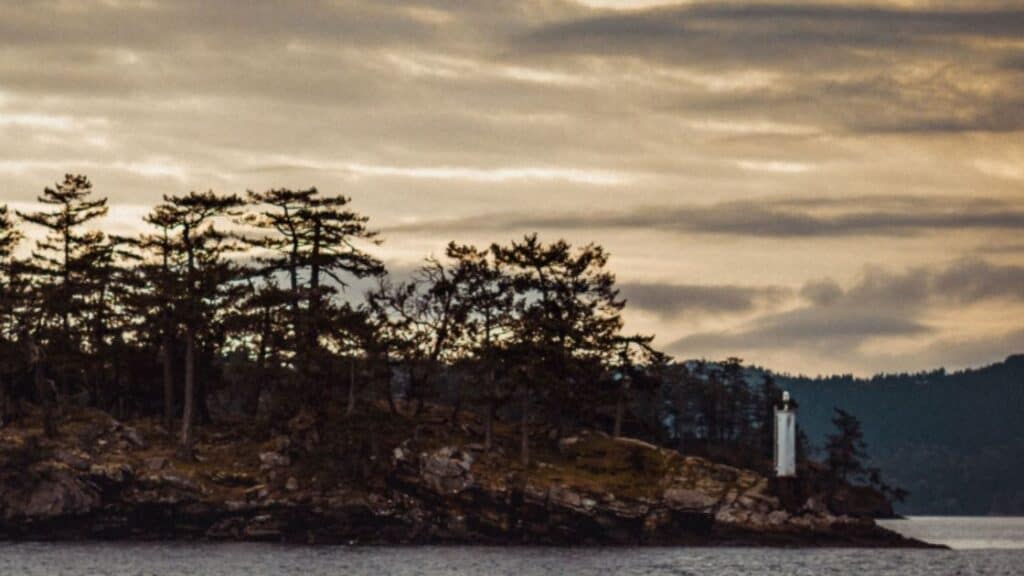 Tree-covered island on calm water under a cloudy sky