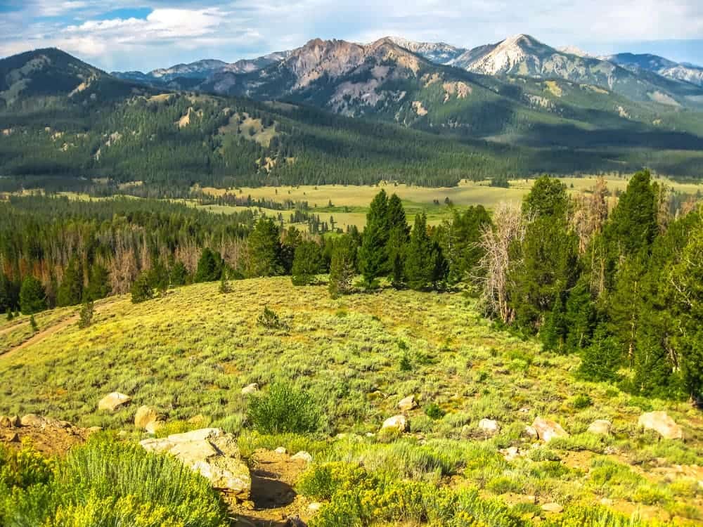 Green meadow below a forested mountain range